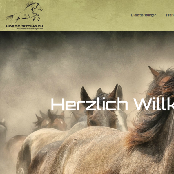 Screenshot 2023-05-12 111749